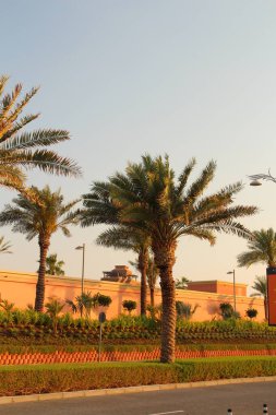 Dubai, uae - Dubai 'de 10 Şubat, Dubai şehir parkı, 11 Şubat, 21 Şubat, şehir