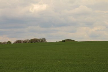 Yeşil alan, bitki ve doğa