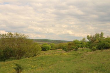Ağaçlar ve bulutlarla dolu güzel bir manzara.