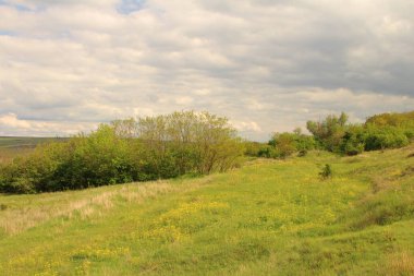 İlkbaharda kırsal bir manzara