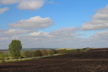 Bir tarla manzarası ve bulutlu mavi bir gökyüzü