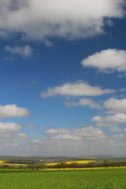 Kırsal kesimde manzara