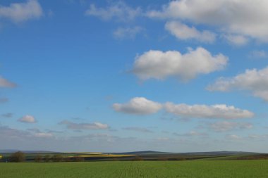 Mavi gökyüzü olan bir tarlanın manzarası