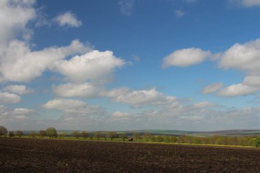 Bulutlu bir gökyüzü ve yeşil bir tarlası olan güzel bir manzara.