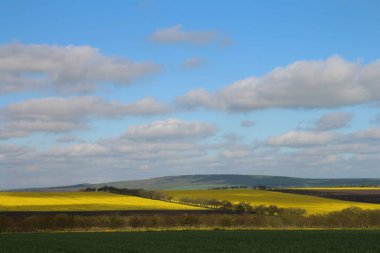 Kırsaldaki güzel bahar manzarası