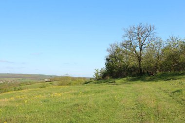Sopol köyünün manzarası