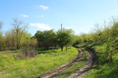 Kırsal yol güneşli bir günde yeşil çimlerin arasında.