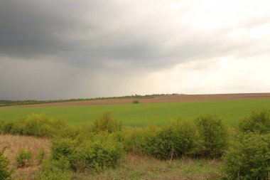 Mavi gökyüzü ile yeşil alan