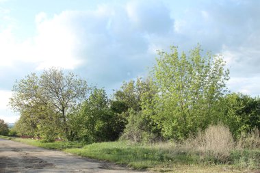 yol alan aracılığıyla