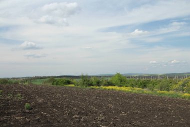 bulutlar ile mavi gökyüzü ile yeşil alan