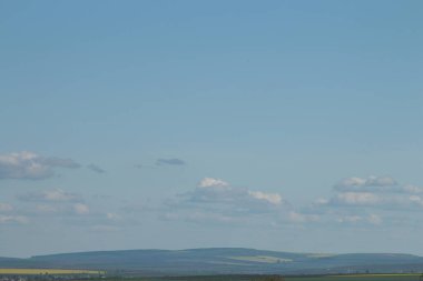 Buğday tarlası olan güzel bir manzara.