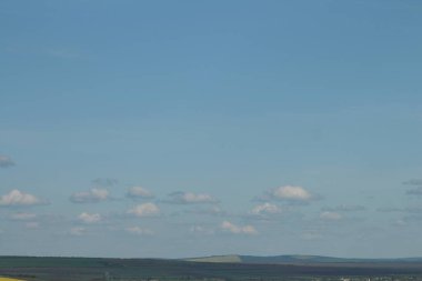 Buğday tarlası olan güzel bir manzara.