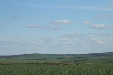 Doğanın güzel manzarası
