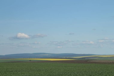 Mavi gökyüzü ve beyaz bulutlar