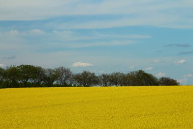 Güzel tarla ve ırz düşmanı tecavüz