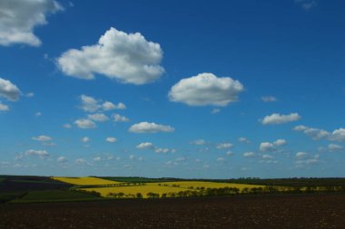 Sarı alan ve gökyüzü