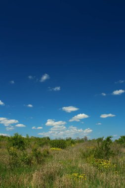 Mavi gökyüzü ve bulutlarıyla güzel bir bahar manzarası