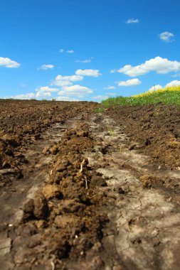 Yeşil topraklı alan