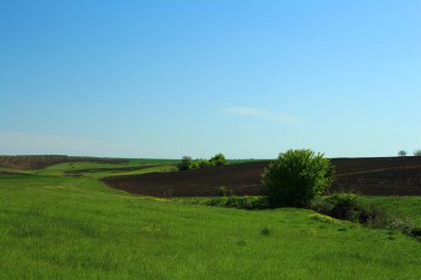 Doğanın güzel manzarası
