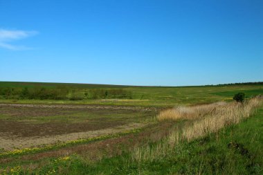 Doğanın güzel manzarası