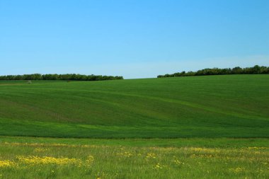 Yeşil alanlar ve yaz aylarında mavi gökyüzü