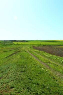 Mavi gökyüzü arka plan ile yeşil alan