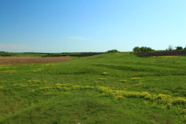 Güzel yaz manzarası. Tepedeki yeşil çimenler.