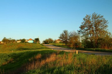 yol ve kırsal manzara