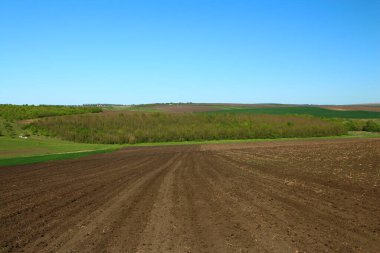 Bahar peyzaj alanları ve ağaçlar.