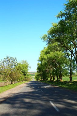 Parkın güzel manzarası