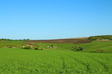 Yeşil alanlar ve mavi gökyüzü manzara