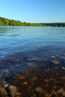 Nehir ve ormanlı güzel bir manzara.