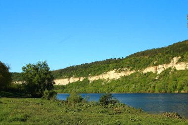 Ormandaki nehrin güzel manzarası