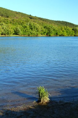 Güzel göl manzarası