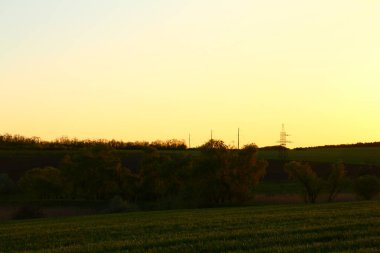 Tarlada gün batımı