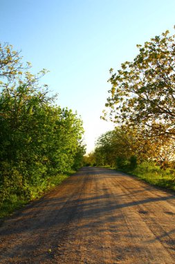 Kırsalda yol