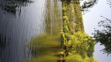 Parktaki nehir manzarası