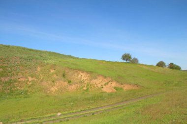 Mavi gökyüzü ve bulutları olan yeşil bir çayır manzarası