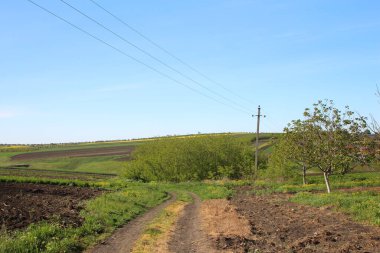 Kırsal alan, bahar günü..