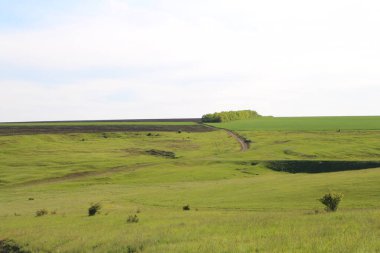 Yeşil tarlaların ve tepelerin manzarası