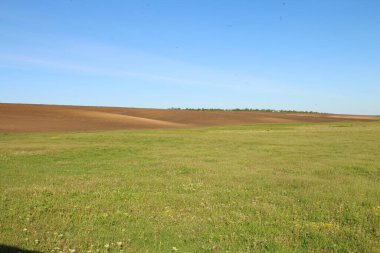 Mavi gökyüzü olan bir tarlanın manzarası