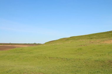 yeşil tarla ve mavi gökyüzü