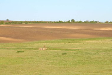 Güzel bir manzara. Doğa arkaplanı