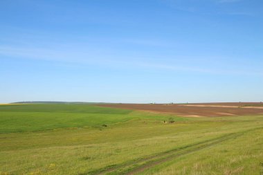 Doğanın güzel manzarası