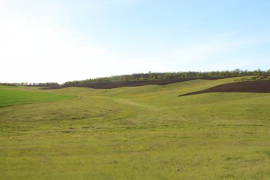 Yeşil çimenli bir arazi.