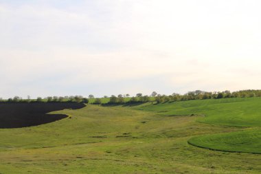 bahar manzarası Ağaçlar ve bulutlar