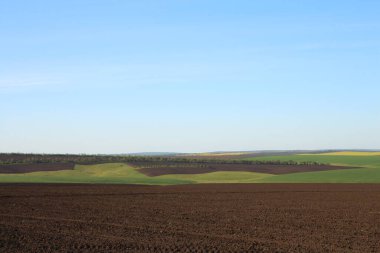 bahar manzarası, tarla ve gökyüzü