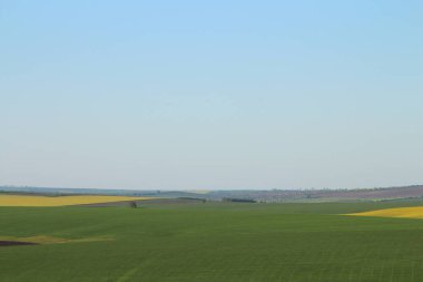 tarımsal alan, doğa manzarası