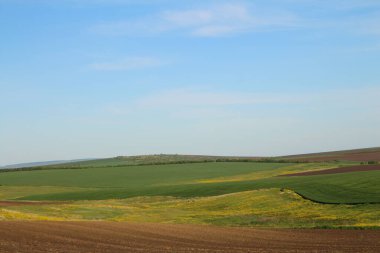 Yeşil tarlalı ve mavi gökyüzüyle manzara