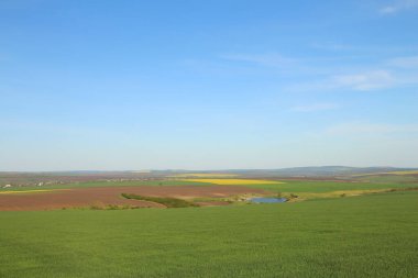 Ukrayna tarlalarının manzarası.